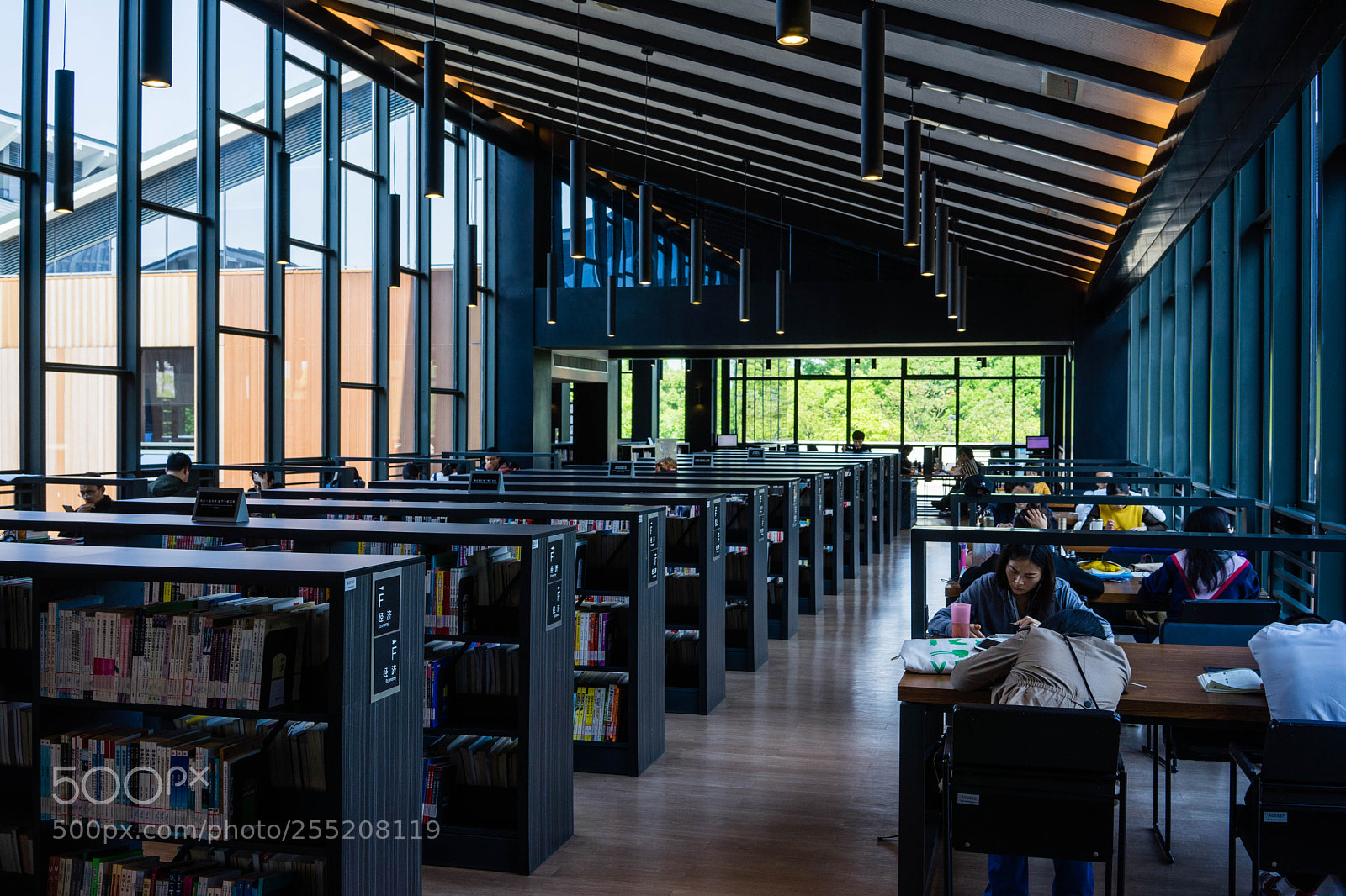 Sony a7 sample photo. Jia ding library photography