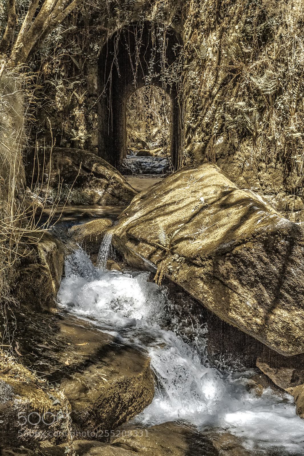 Nikon D7100 sample photo. Paizas photography