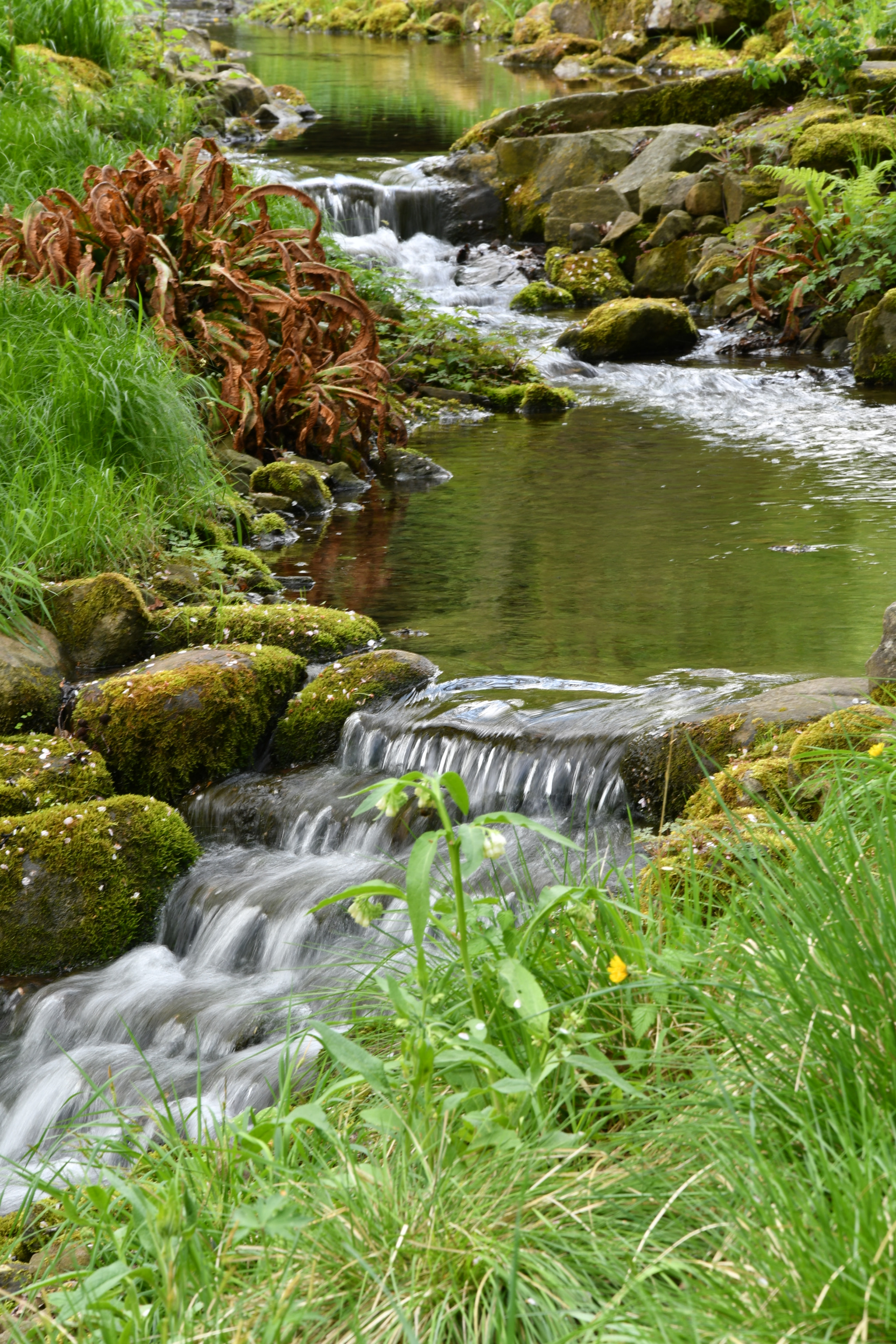 Nikon D7500 sample photo