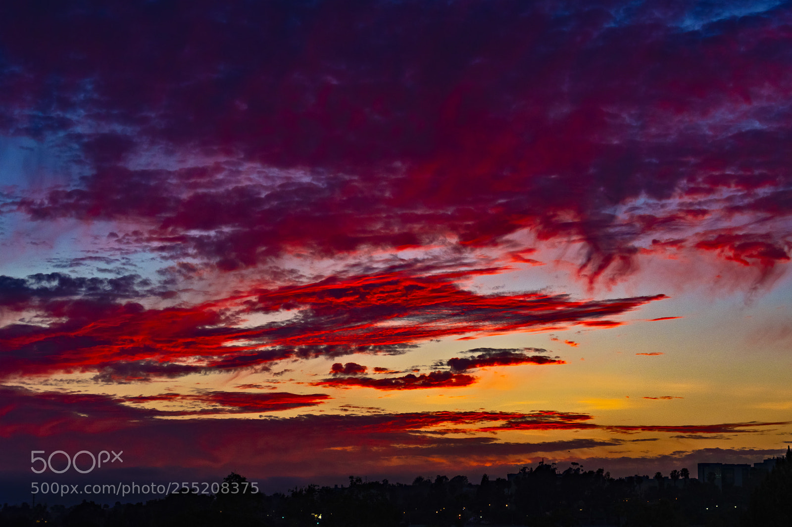 Nikon D500 sample photo. Fiery sunset over vista photography