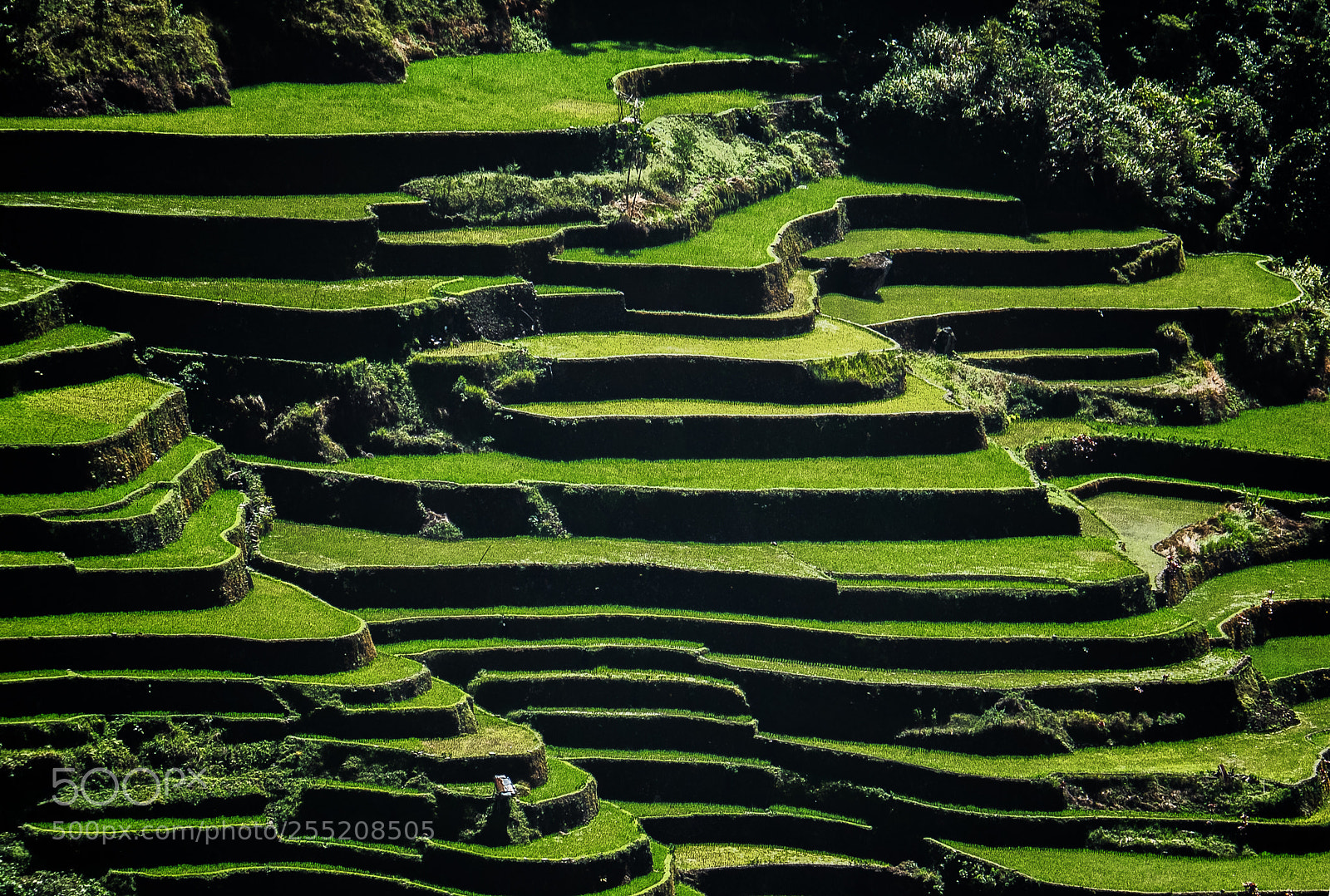 Olympus OM-D E-M1 sample photo. 'only terraces' photography
