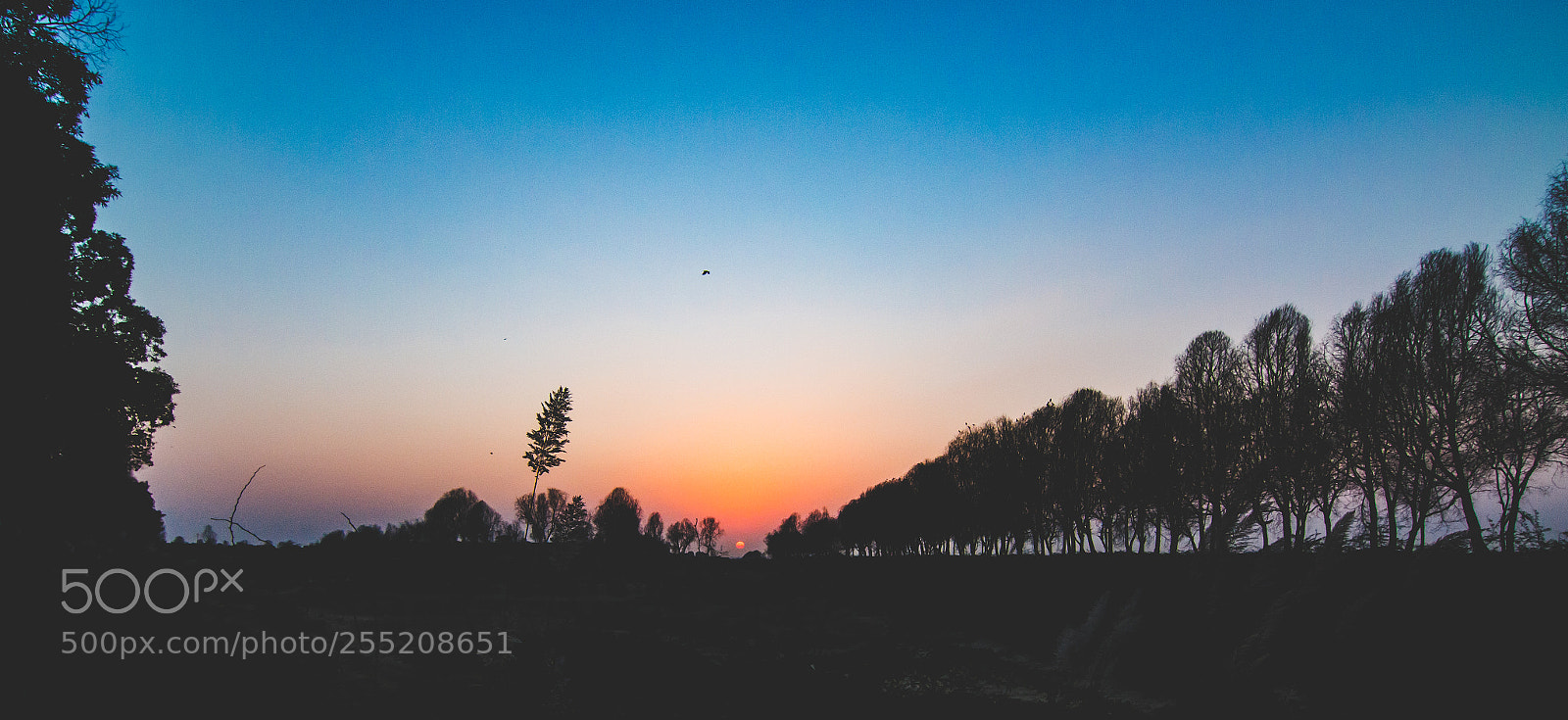 Canon EOS 70D sample photo. Winter evening photography