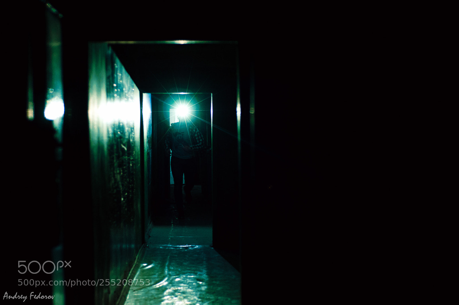 Nikon D90 sample photo. Blade runner photography