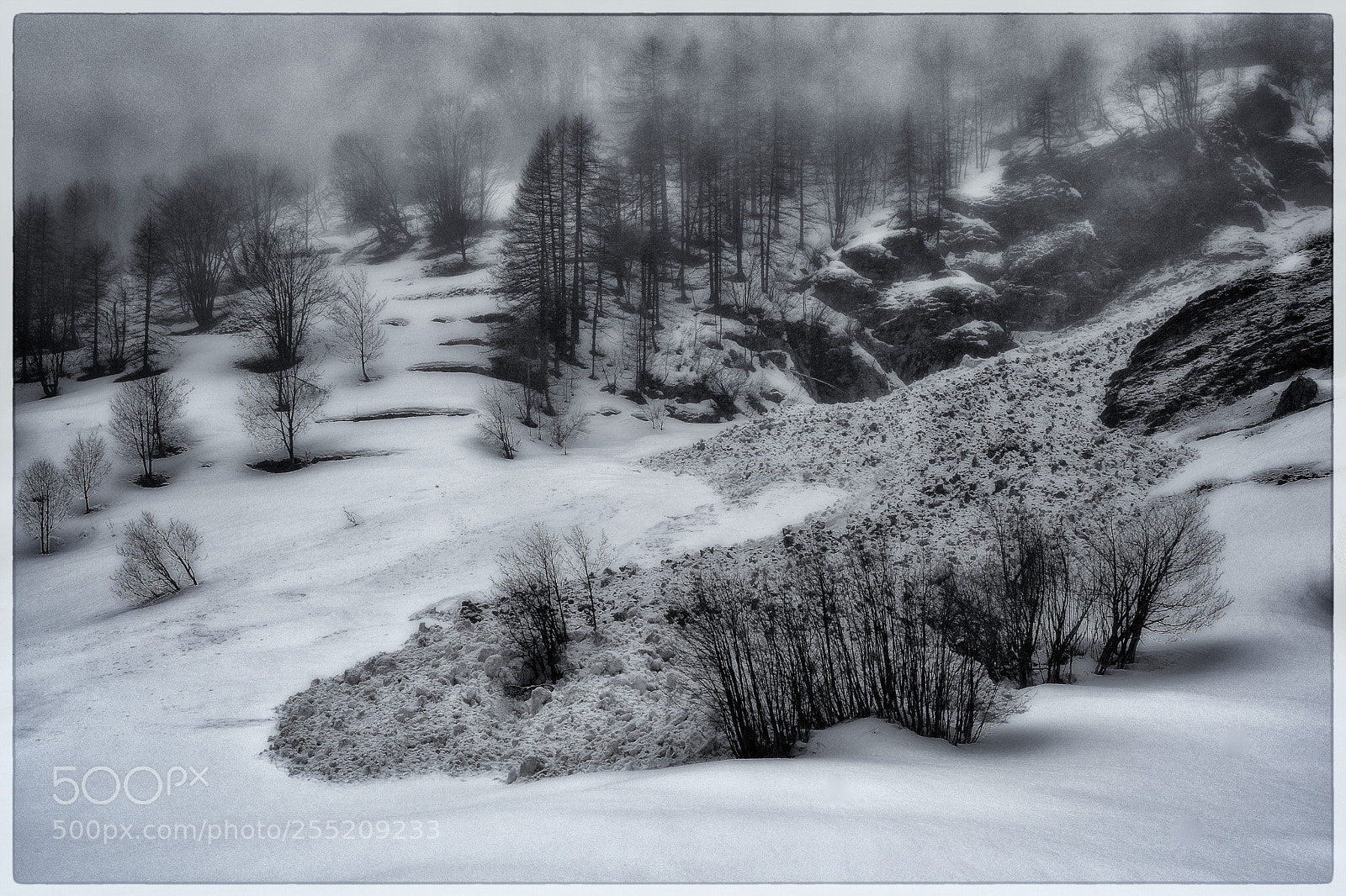 Nikon D500 sample photo. Early spring avalanche photography