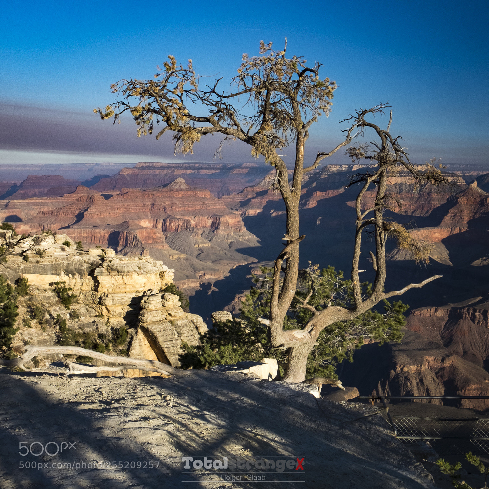 Fujifilm X-T1 sample photo. Grand canyon (cv) photography