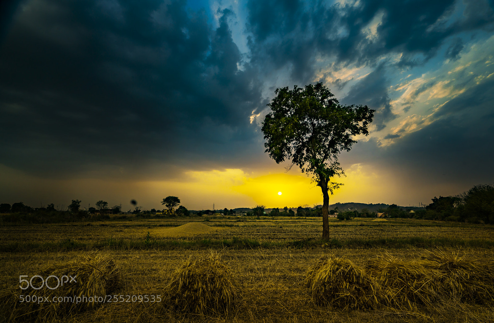 Sony a7R II sample photo. Dsc photography