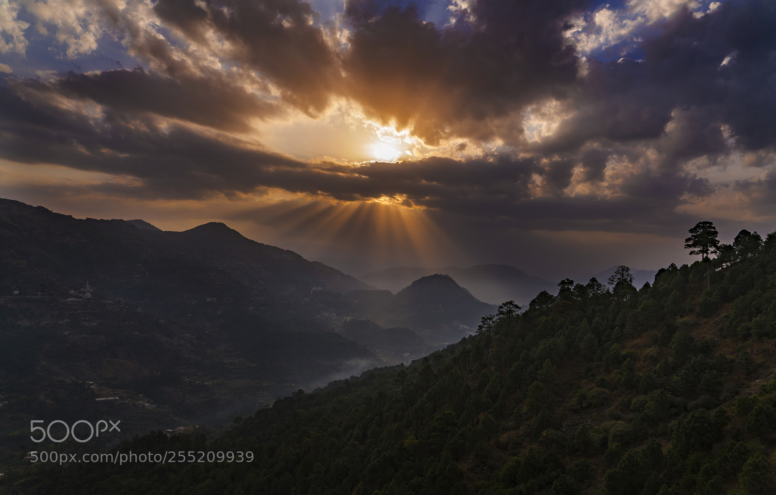 Sony a7R II sample photo. Dsc photography