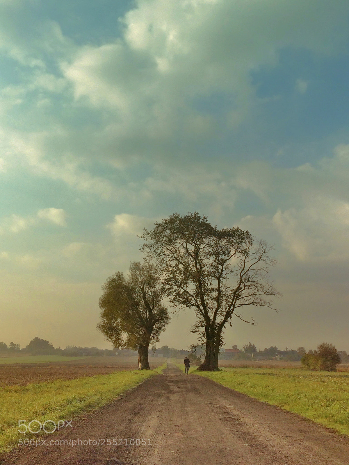 Apple iPhone 5s sample photo. Dirt road photography