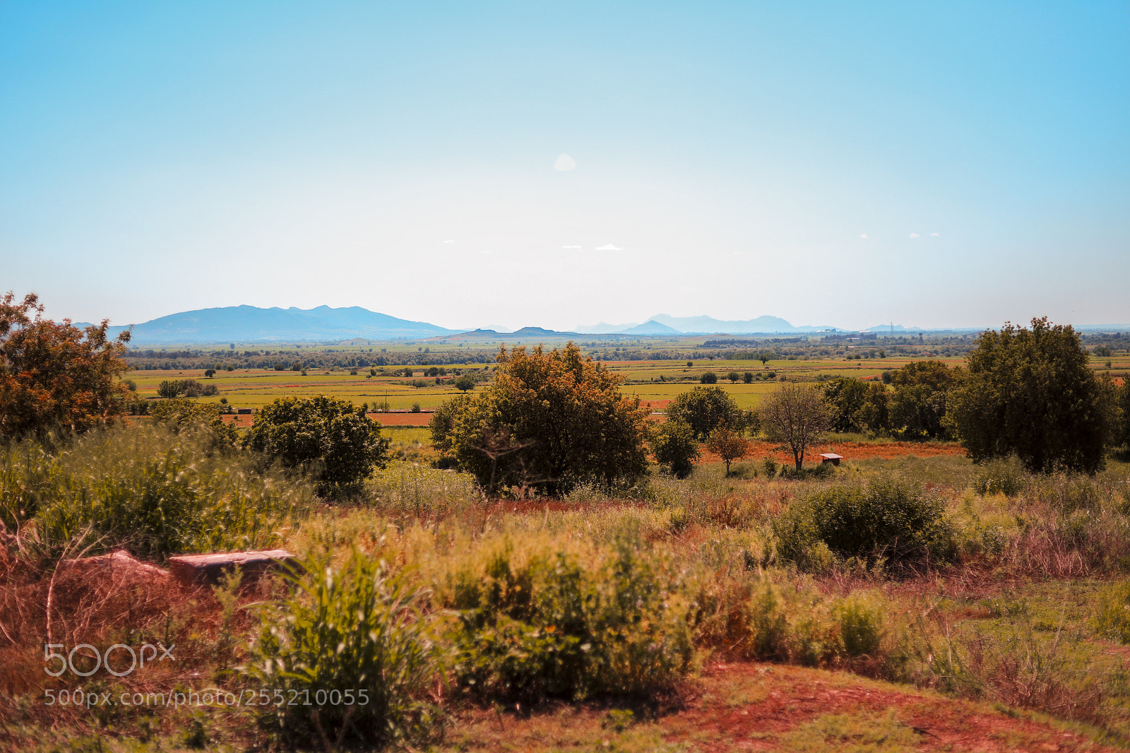 Canon EOS 6D Mark II sample photo. Verdure photography