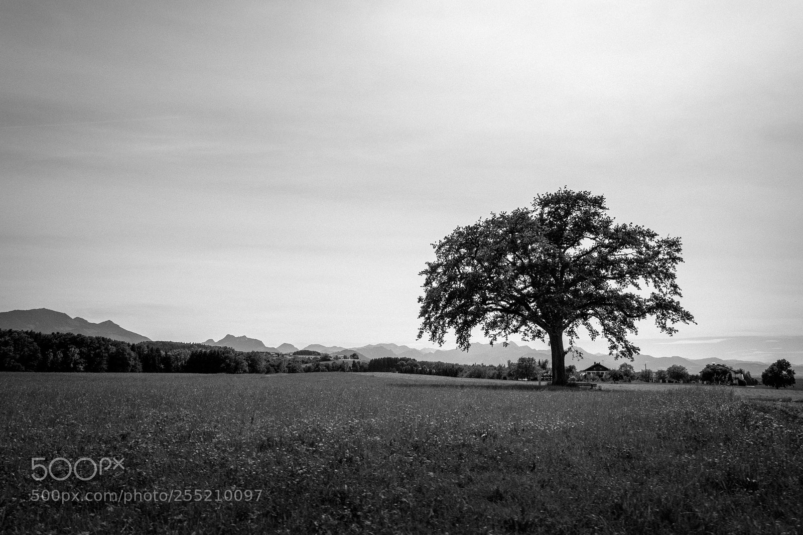 Samsung NX300 sample photo. Random bavarian landscapes photography