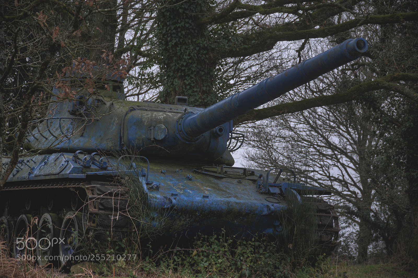 Nikon D7100 sample photo. Tank photography