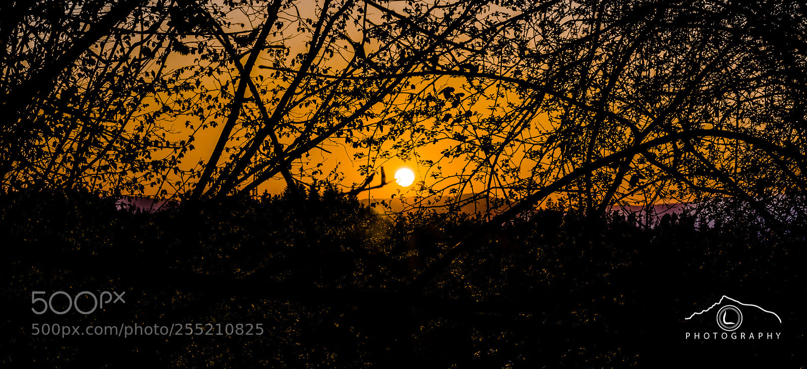 Nikon D7000 sample photo. Just next one sunset photography