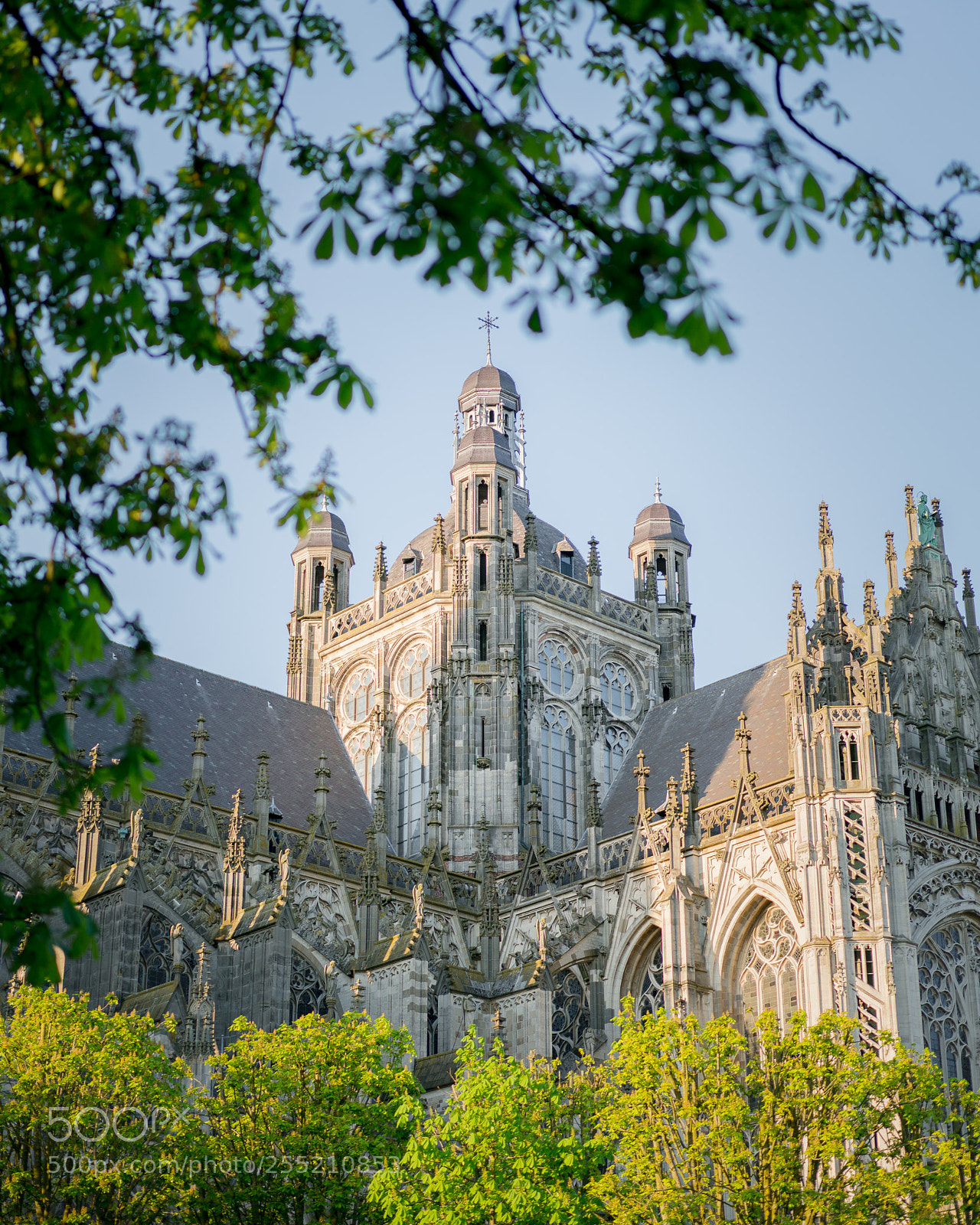 Sony a7R II sample photo. St. john's cathedral in photography