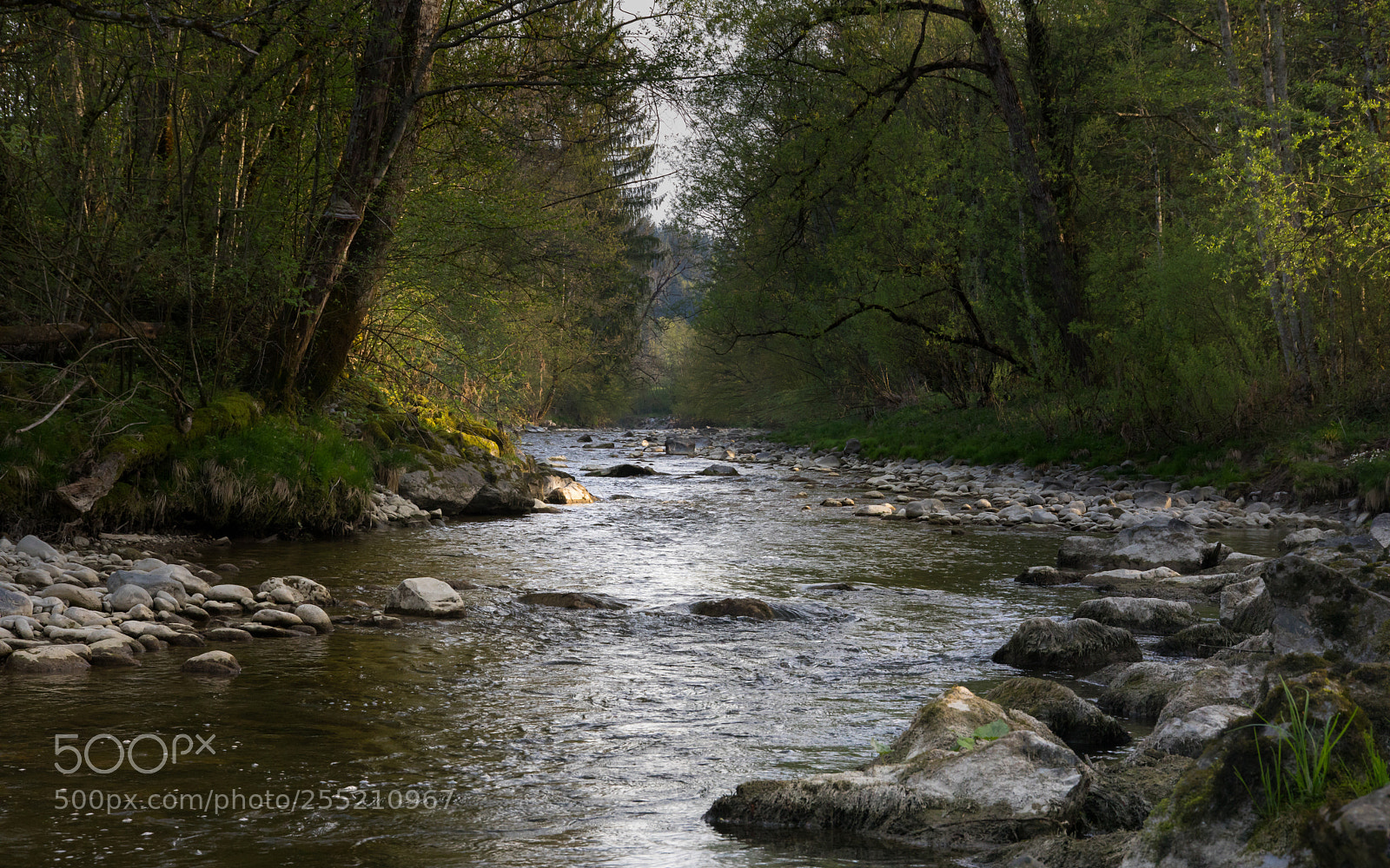 Canon EOS 5D Mark IV sample photo. Flusslandschaft photography