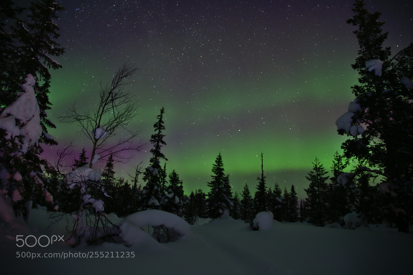 Nikon D7500 sample photo. Aurora's moment photography