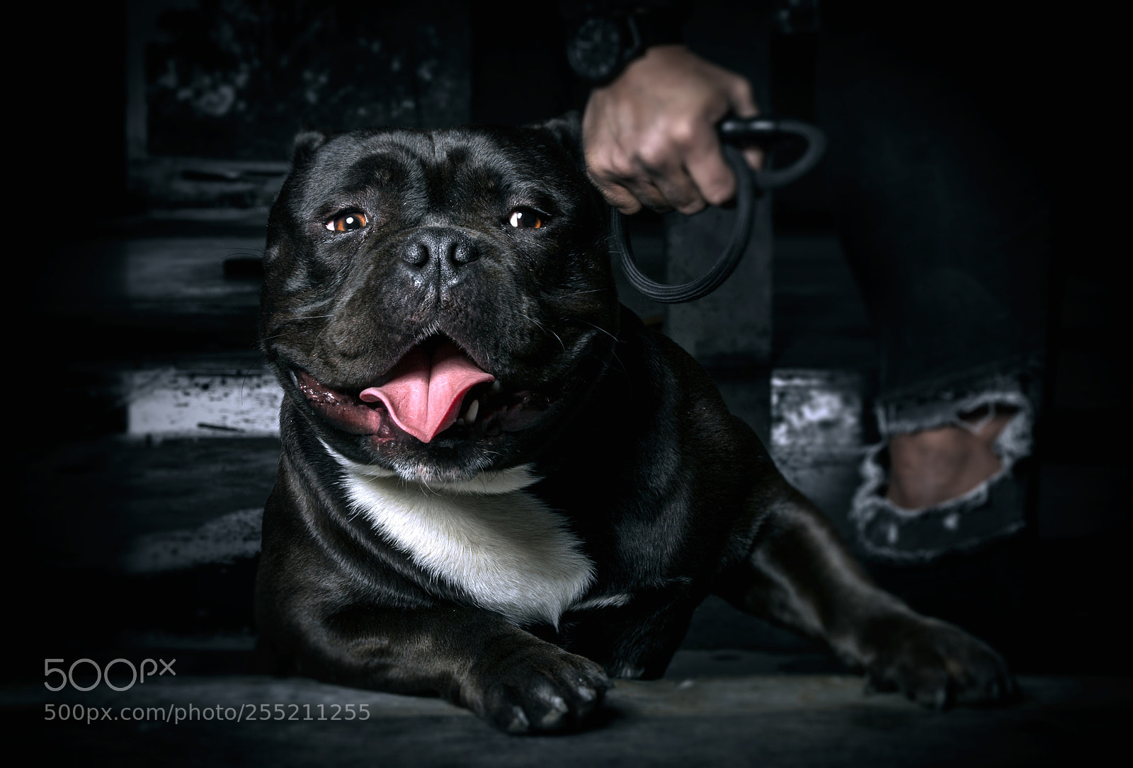 Nikon D7100 sample photo. Apollo photography