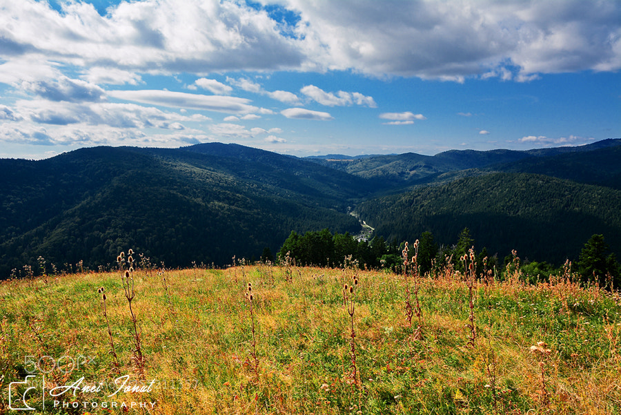 Nikon D7100 sample photo. Contemplate photography