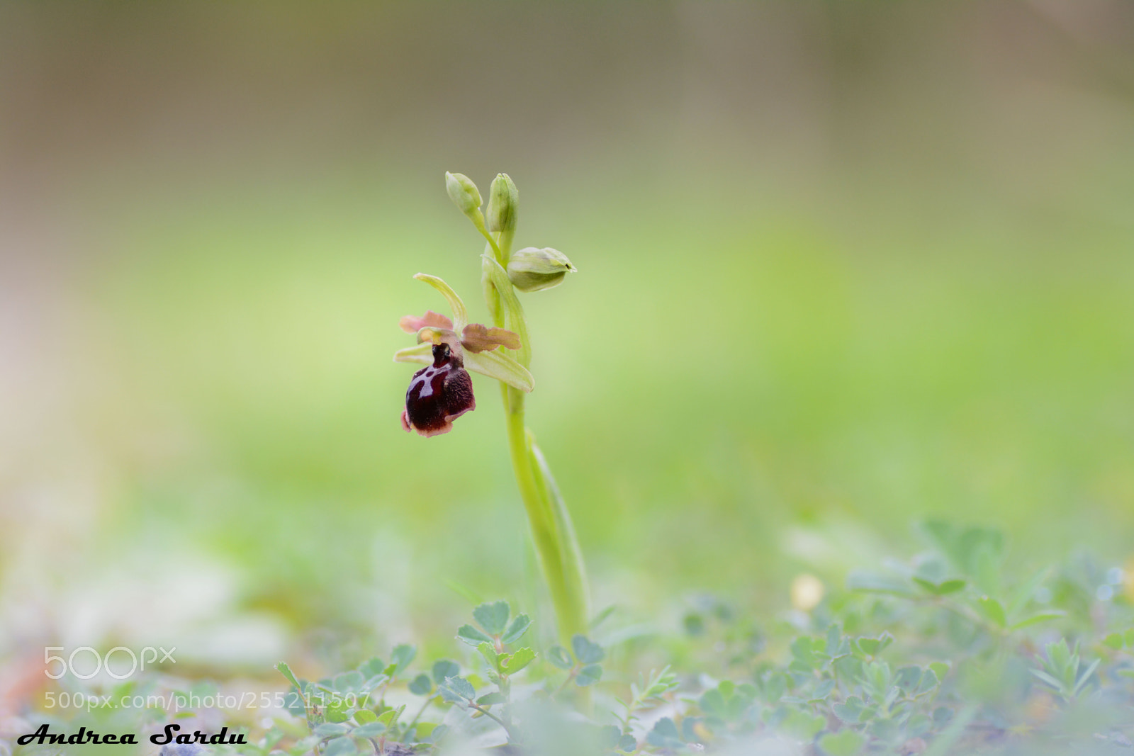 Nikon D7100 sample photo. Untitled photography
