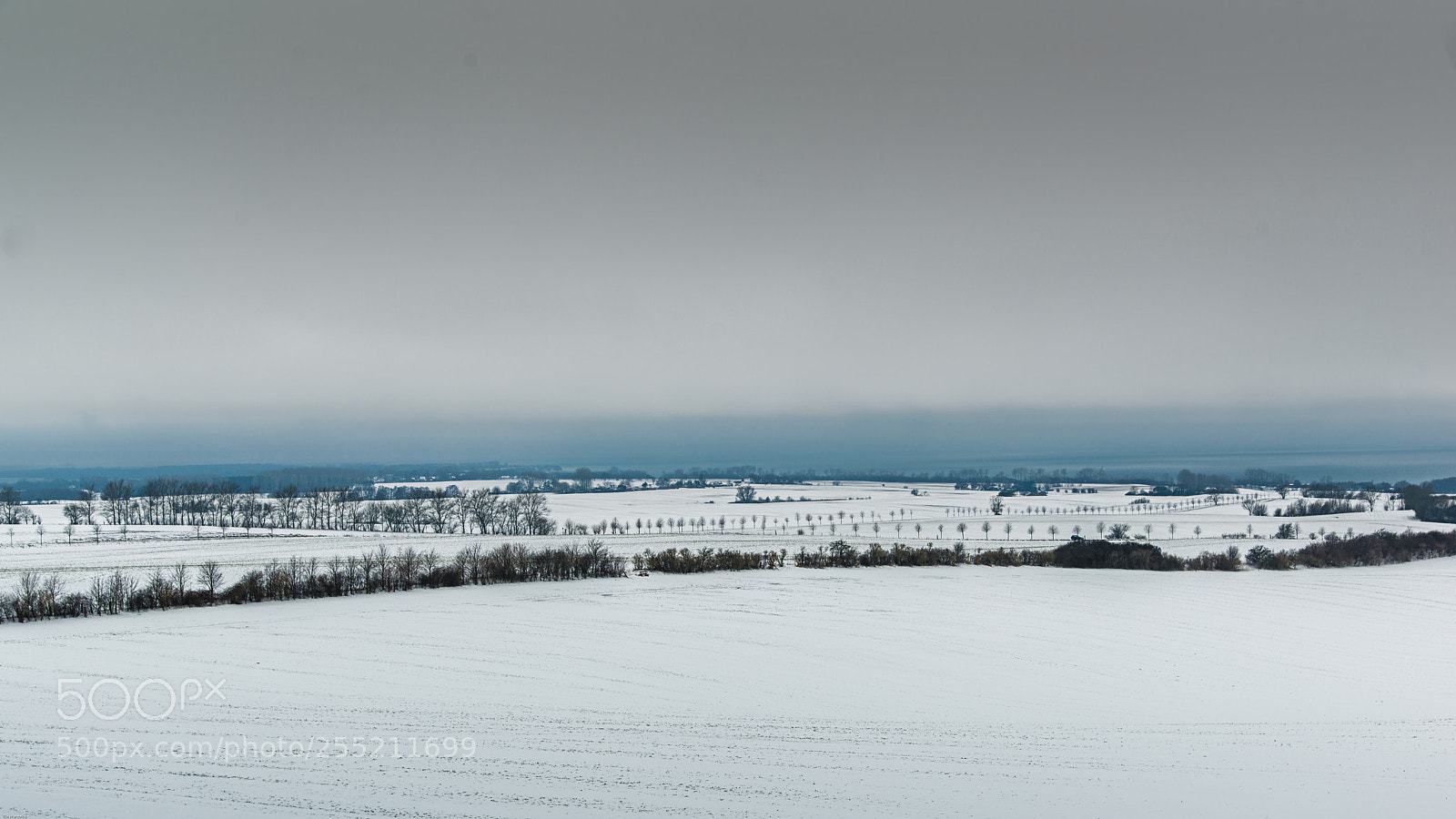 Nikon D800 sample photo. The baltic sea photography