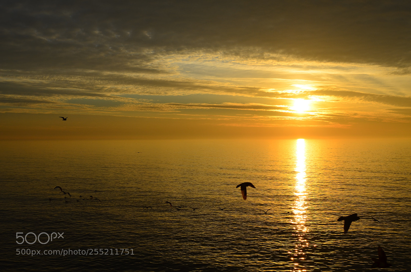 Nikon D5100 sample photo. Sunrise photography