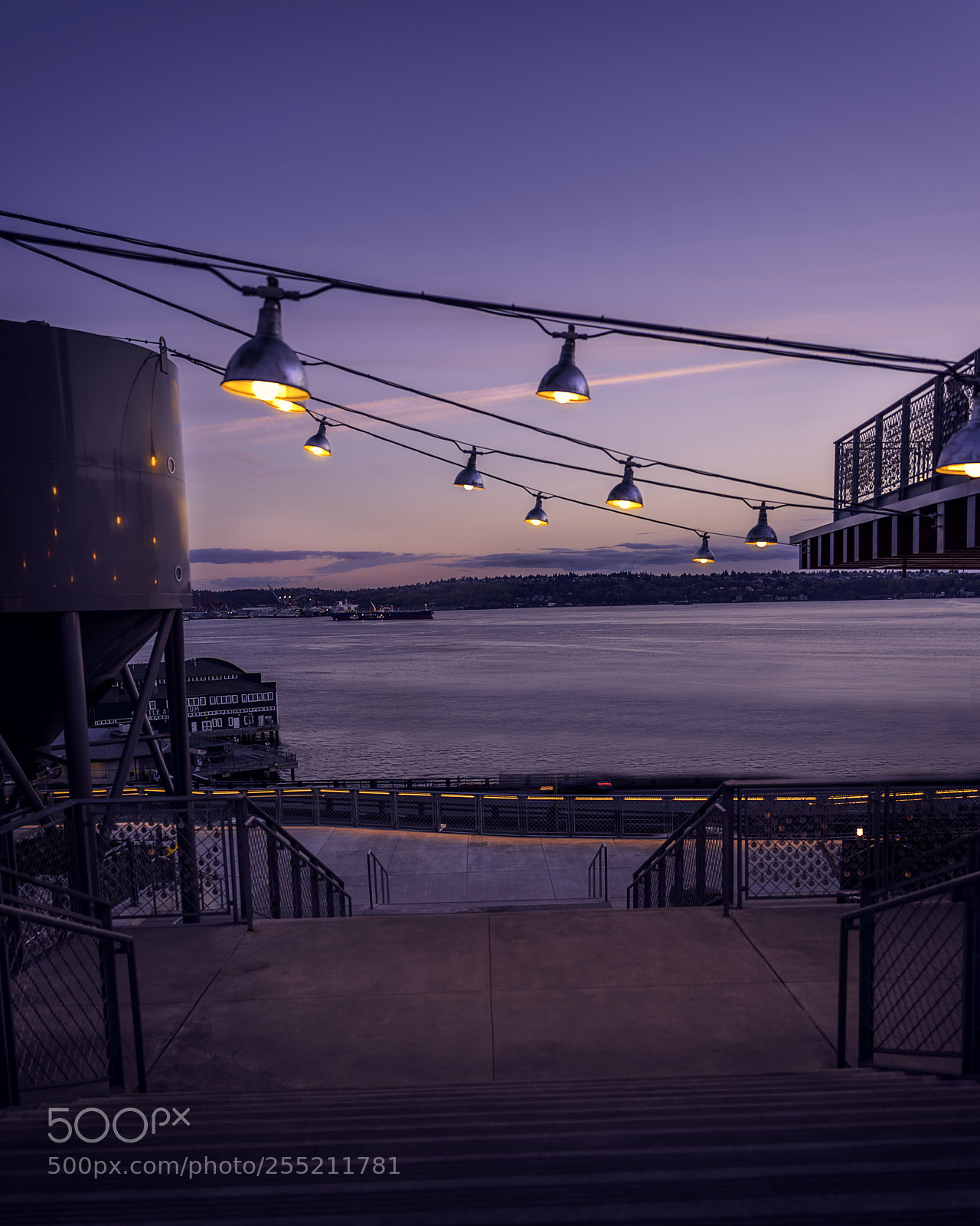 Nikon D810 sample photo. Lit photography