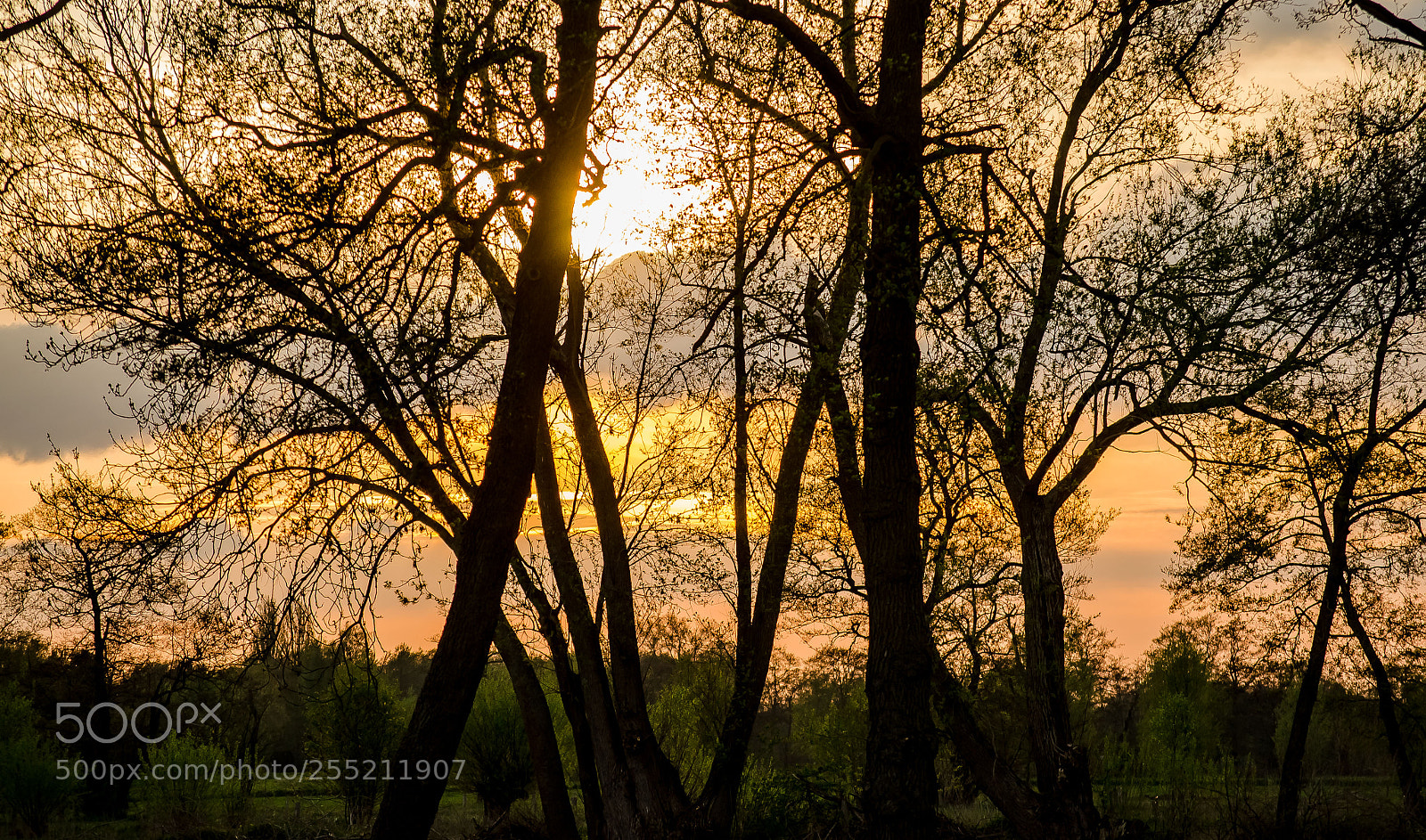 Nikon D5100 sample photo. Orange sky photography