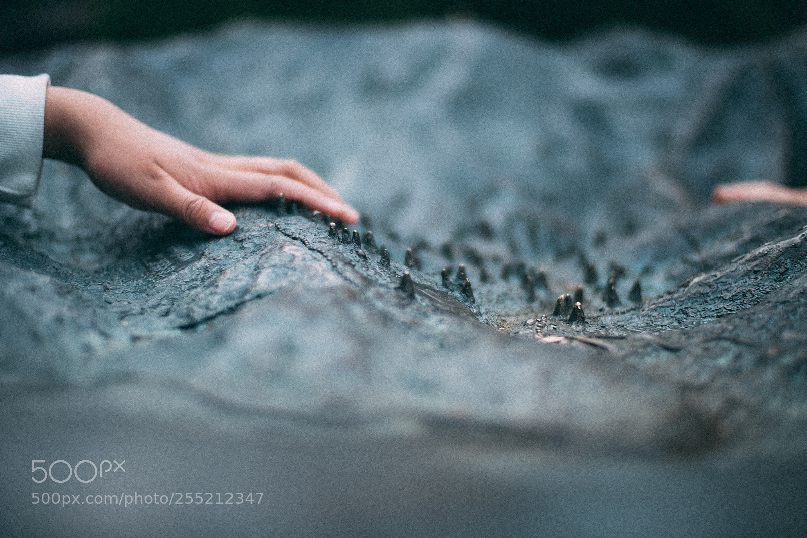 Fujifilm X-E2S sample photo. Touching brail map muir photography