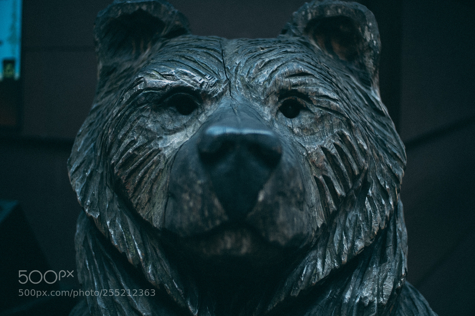 Fujifilm X-E2S sample photo. Zen bear close up photography
