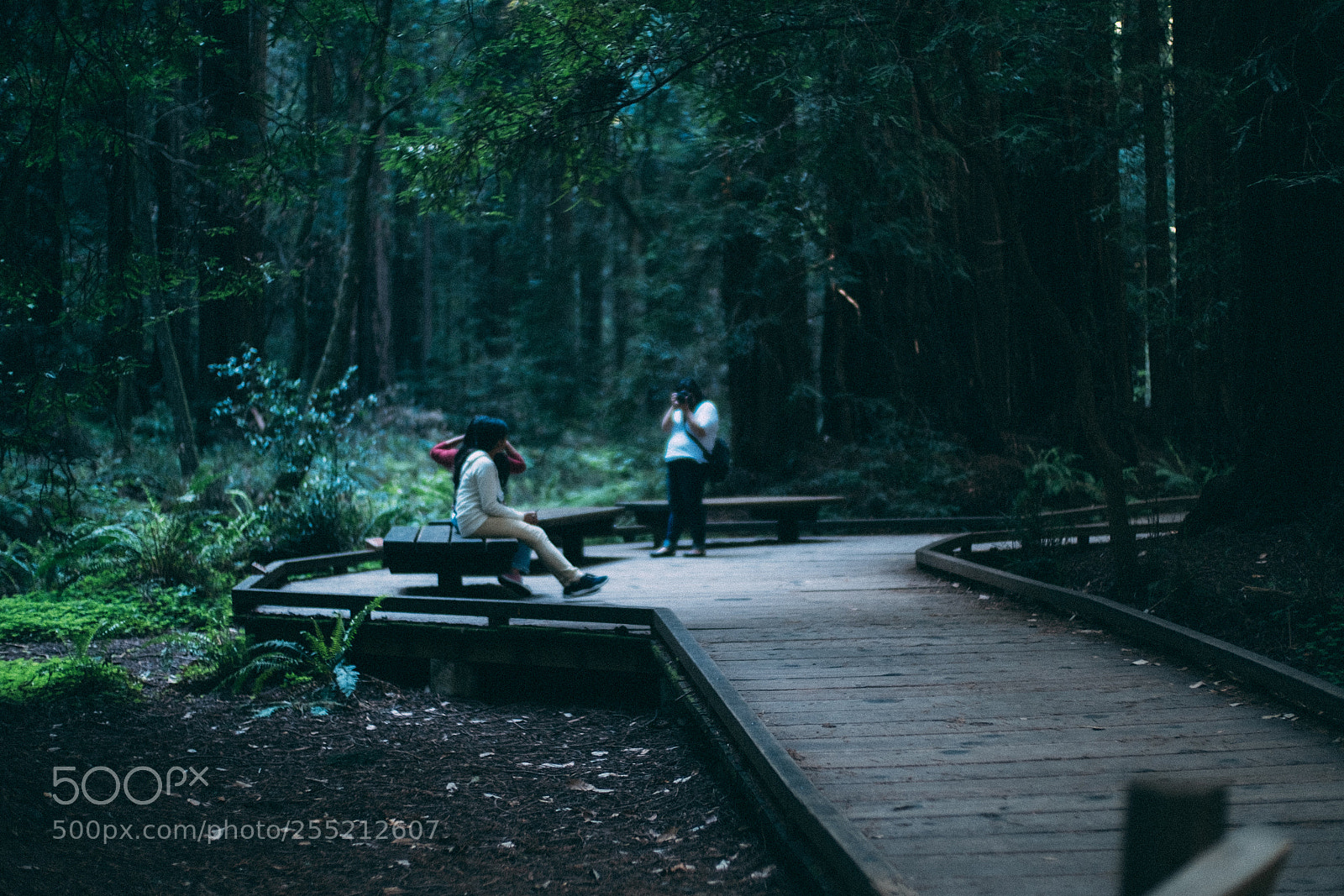 Fujifilm X-E2S sample photo. Candid uncandid photo muir photography