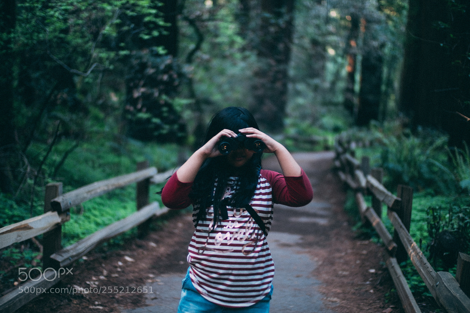 Fujifilm X-E2S sample photo. Binoculars muir woods national photography