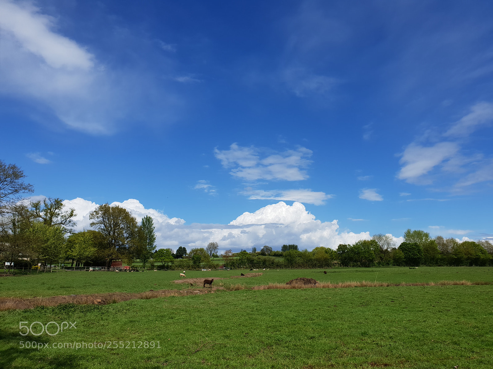 Samsung Galaxy S9 sample photo. Untitled photography