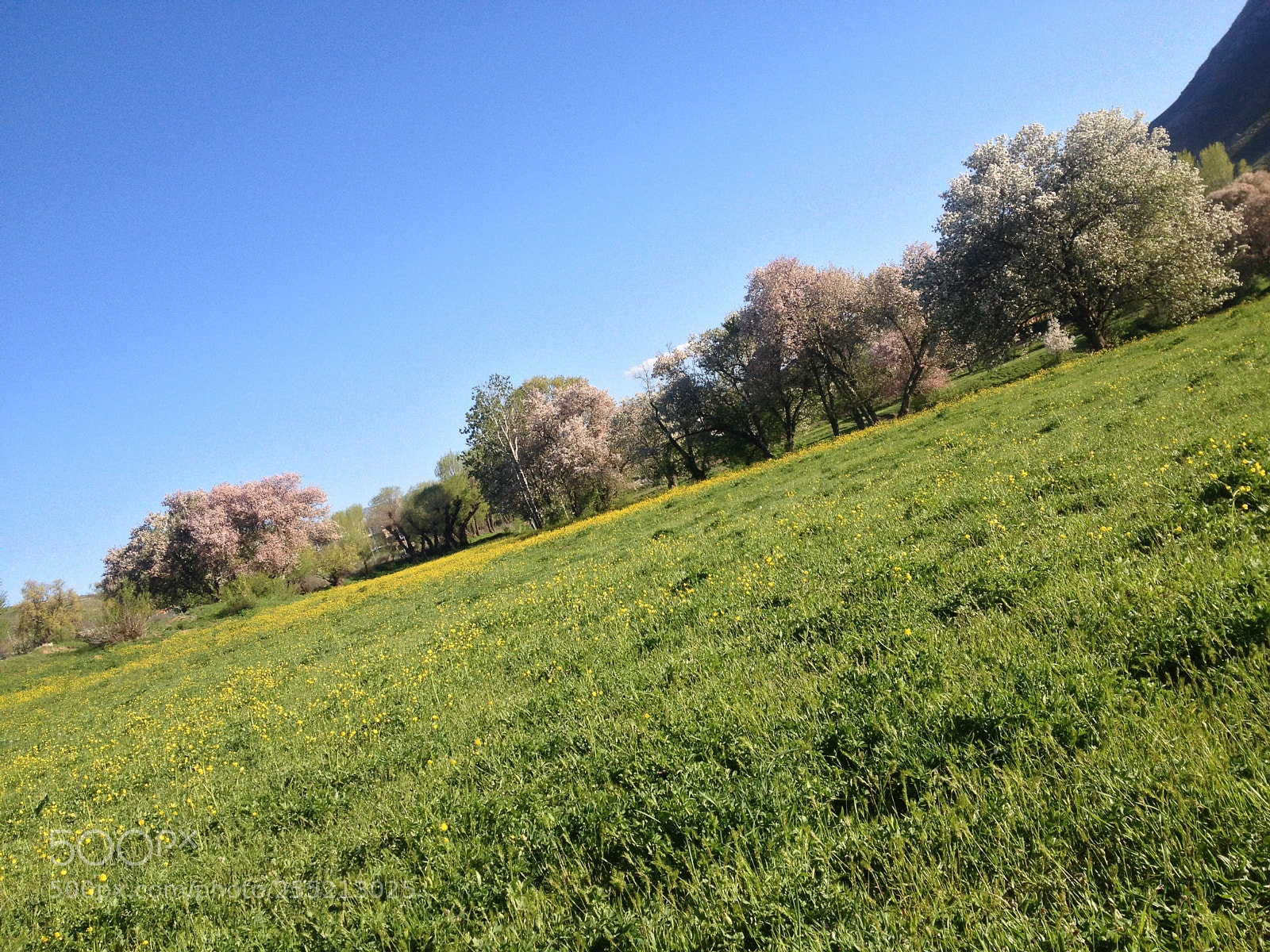 Apple iPhone 4S sample photo. Untitled photography
