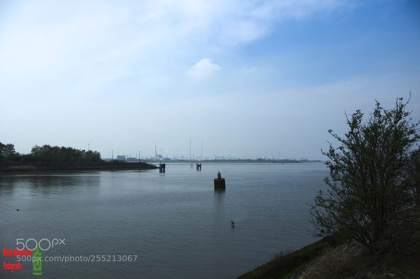 Canon EOS 1200D (EOS Rebel T5 / EOS Kiss X70 / EOS Hi) sample photo. Kruisschansbrug photography