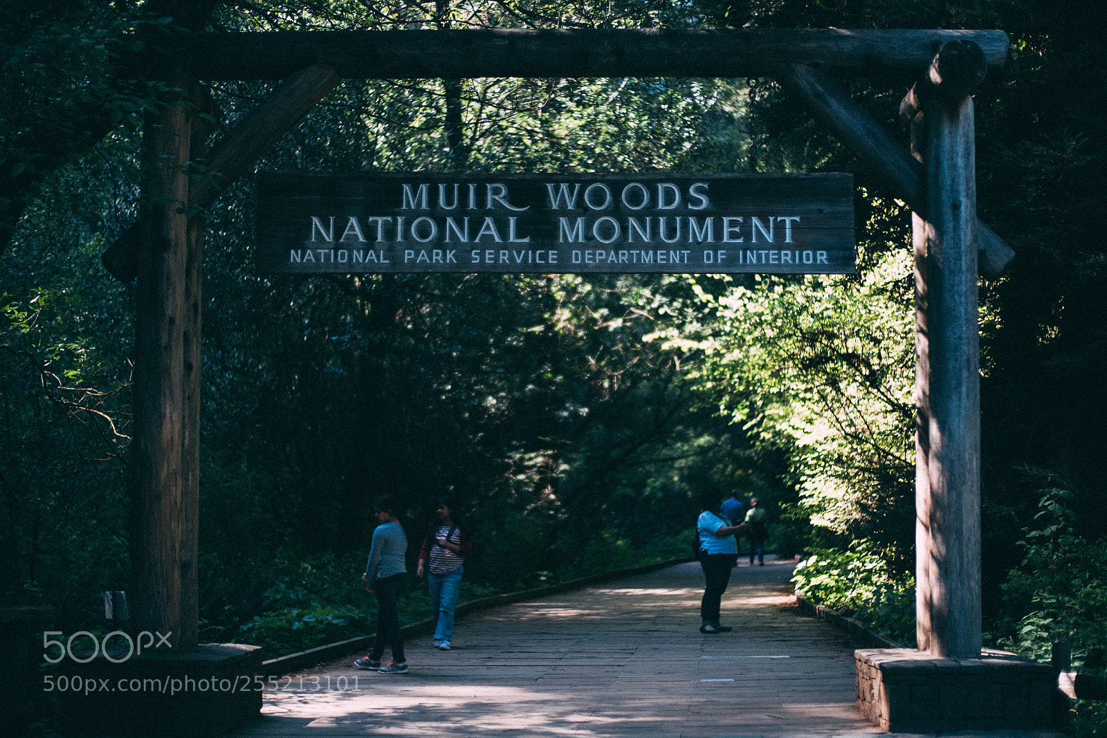 Fujifilm X-E2S sample photo. Entrance muir woods national photography