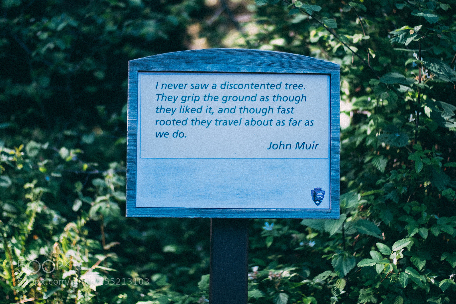 Fujifilm X-E2S sample photo. Entrance muir woods national photography
