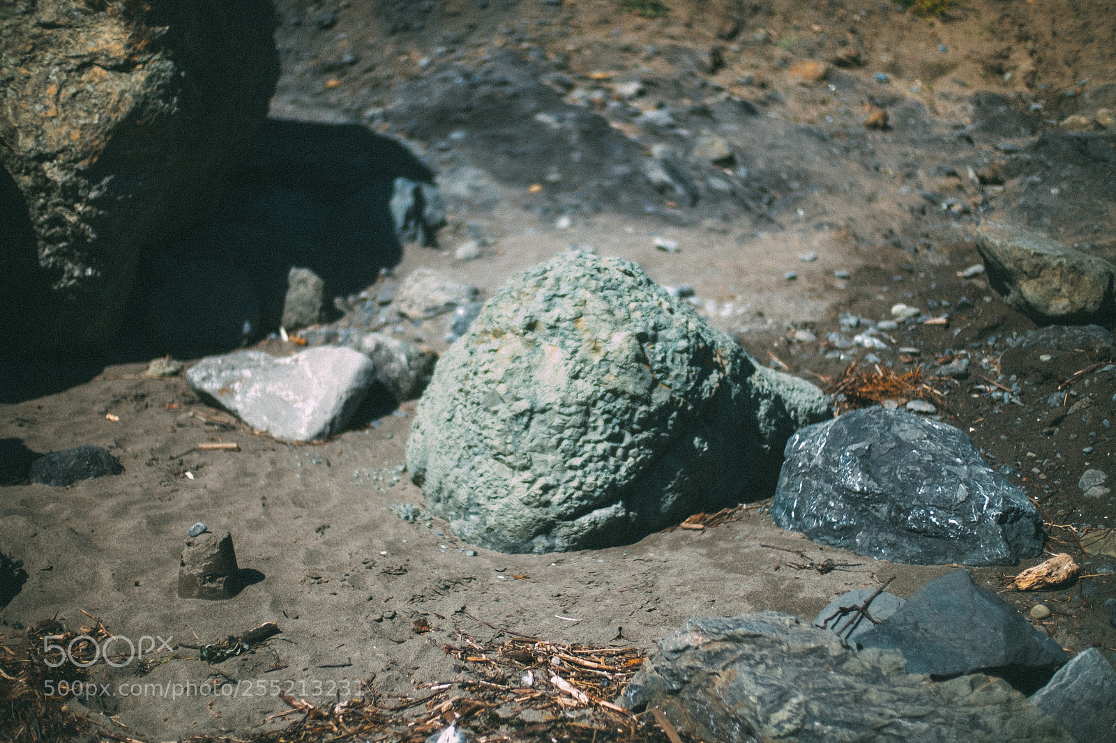 Fujifilm X-E2S sample photo. Avocado @ muir beach photography