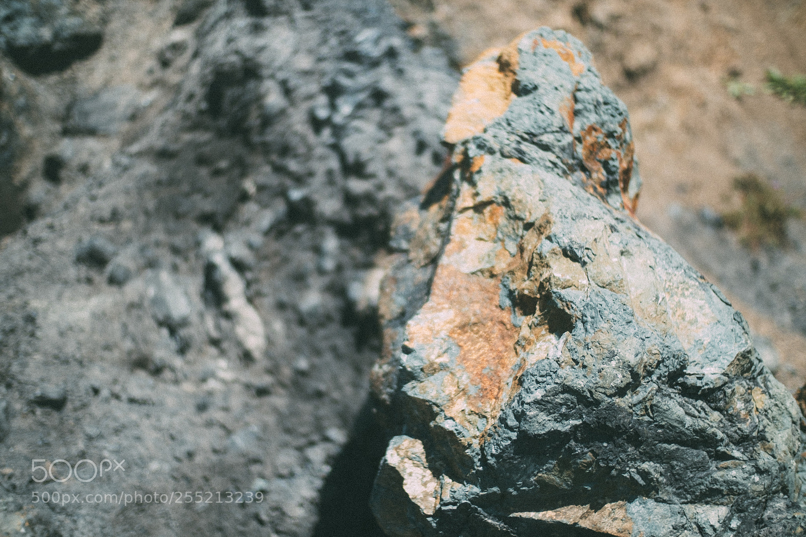 Fujifilm X-E2S sample photo. Butterscotch and rock muir photography