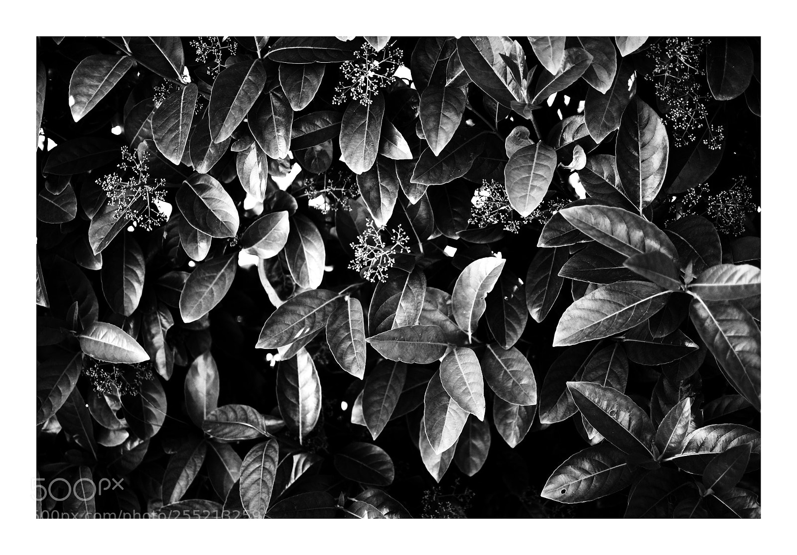 Nikon D7100 sample photo. Untitled photography