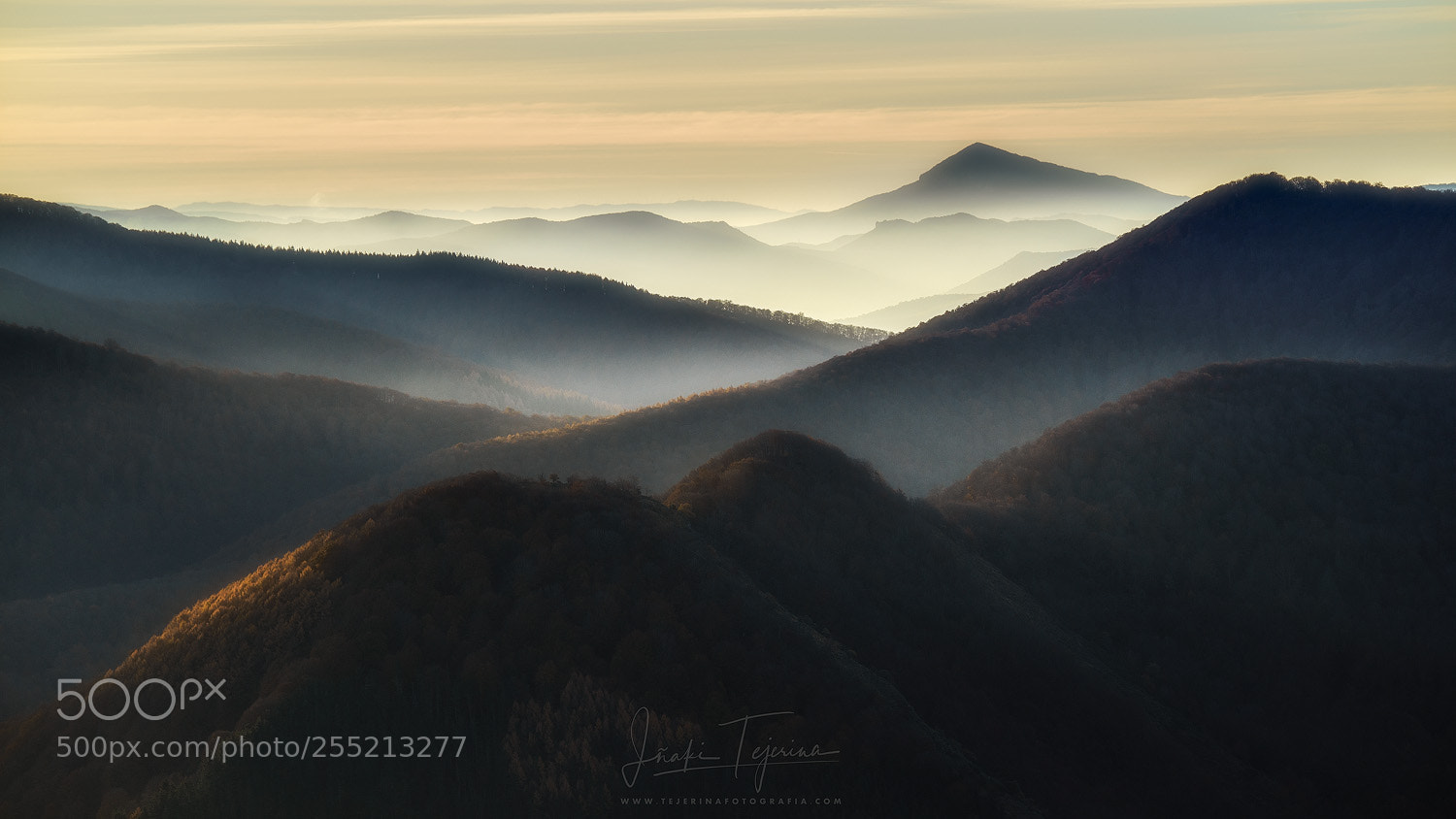 Sony a7R sample photo. Malerreka i photography
