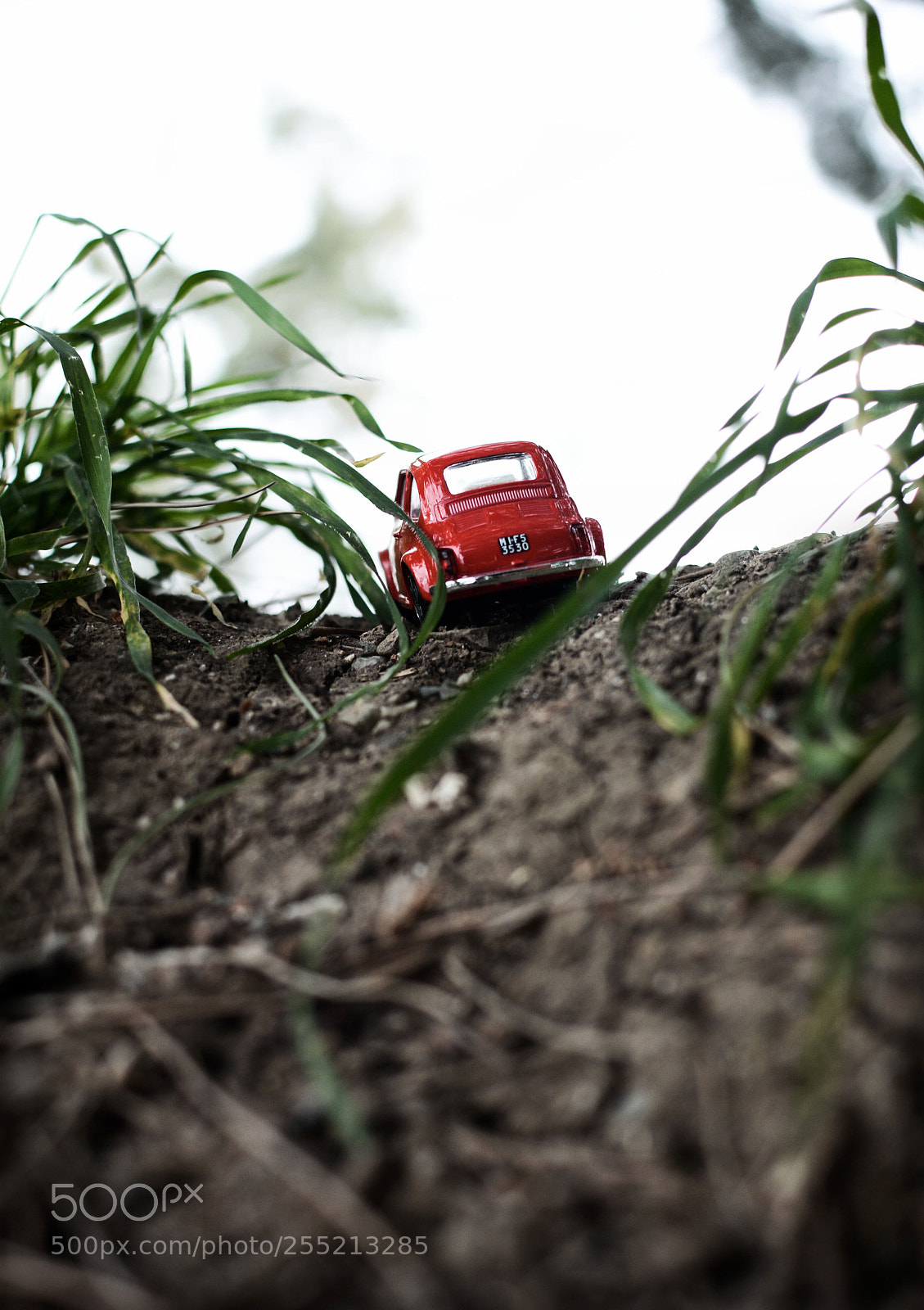 Nikon D7100 sample photo. Untitled photography