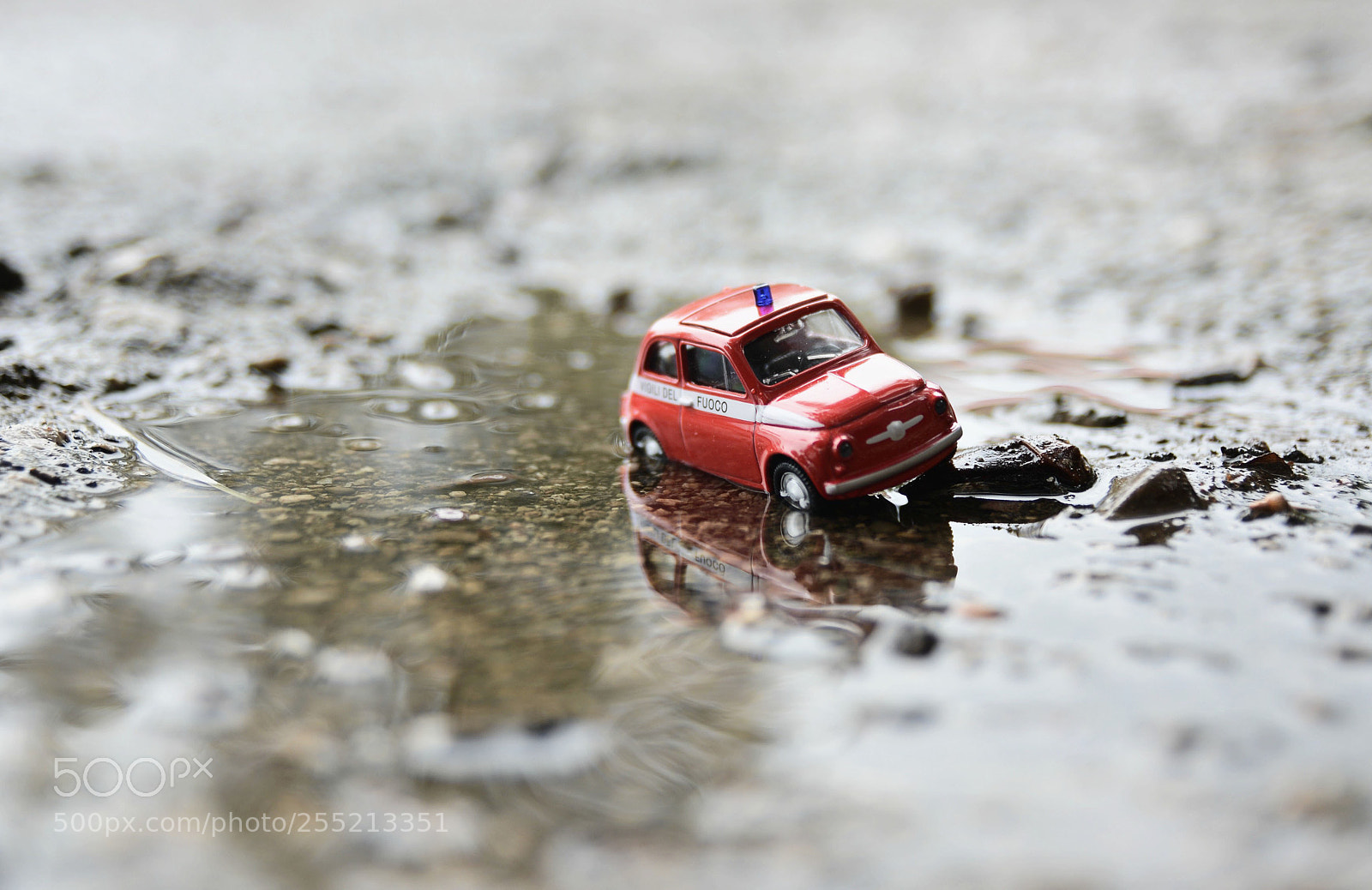 Nikon D7100 sample photo. Untitled photography