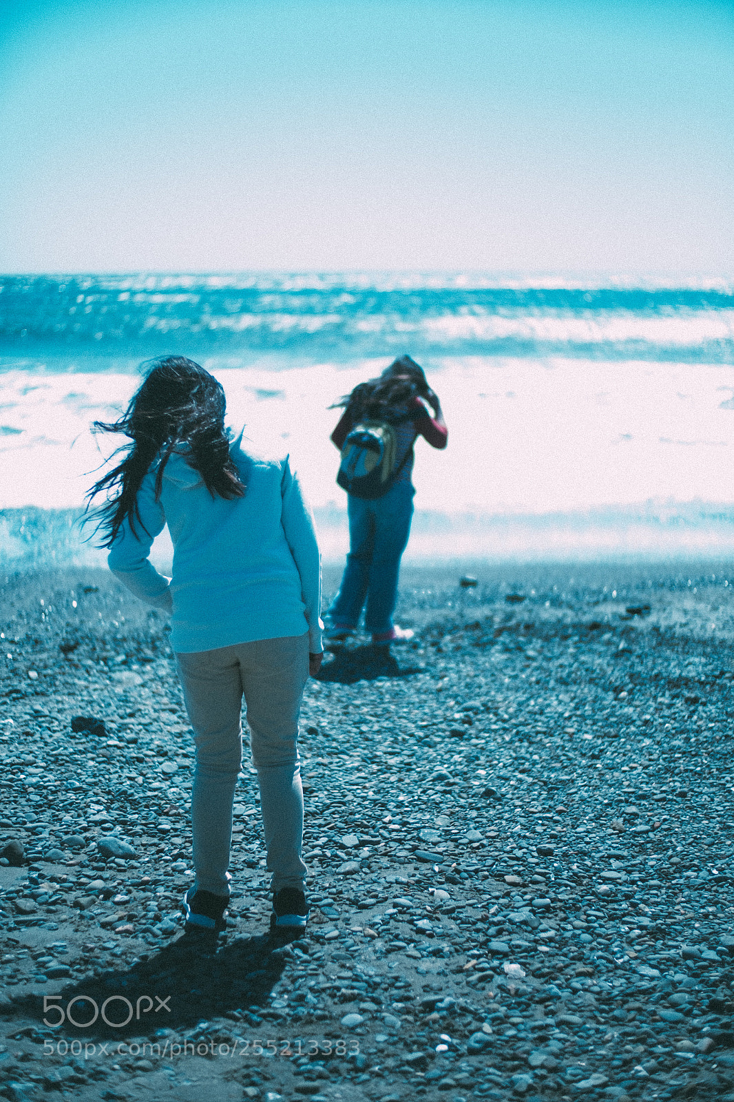 Fujifilm X-E2S sample photo. Sand dollar hunt muir photography