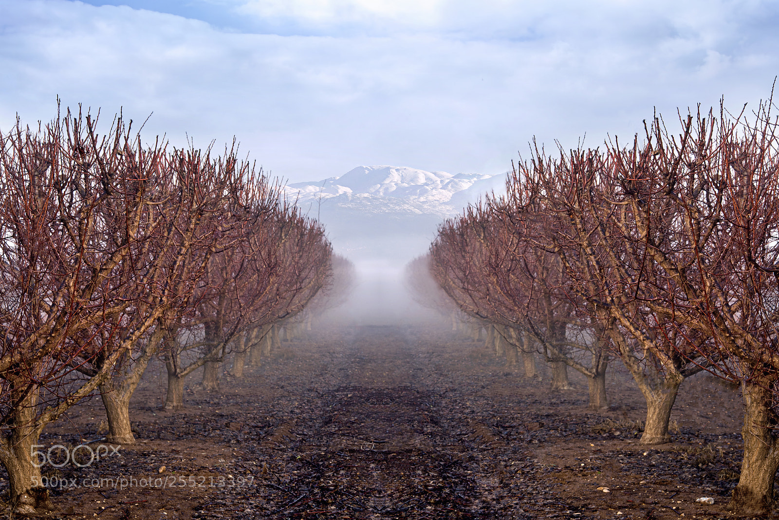 Nikon D810 sample photo. Agamon hula, israel photography