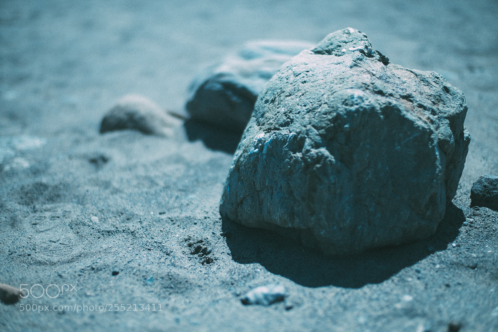 Fujifilm X-E2S sample photo. Interesting beach rock muir photography