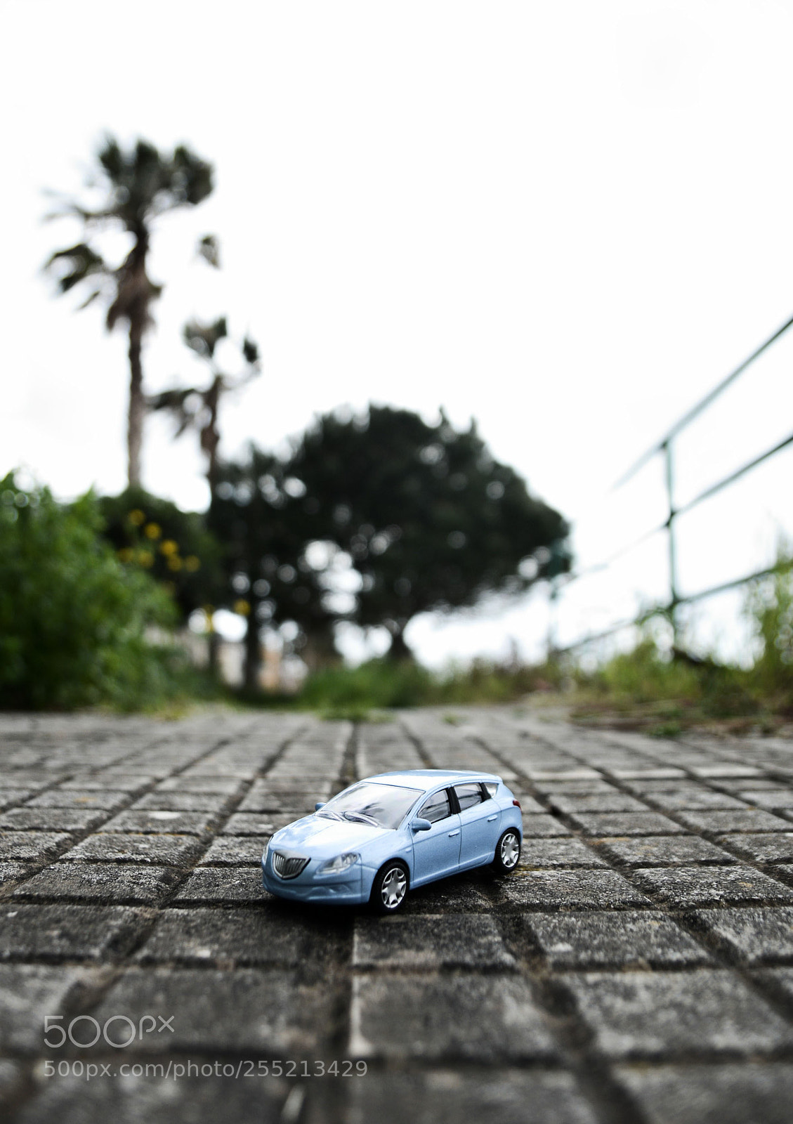 Nikon D7100 sample photo. Untitled photography