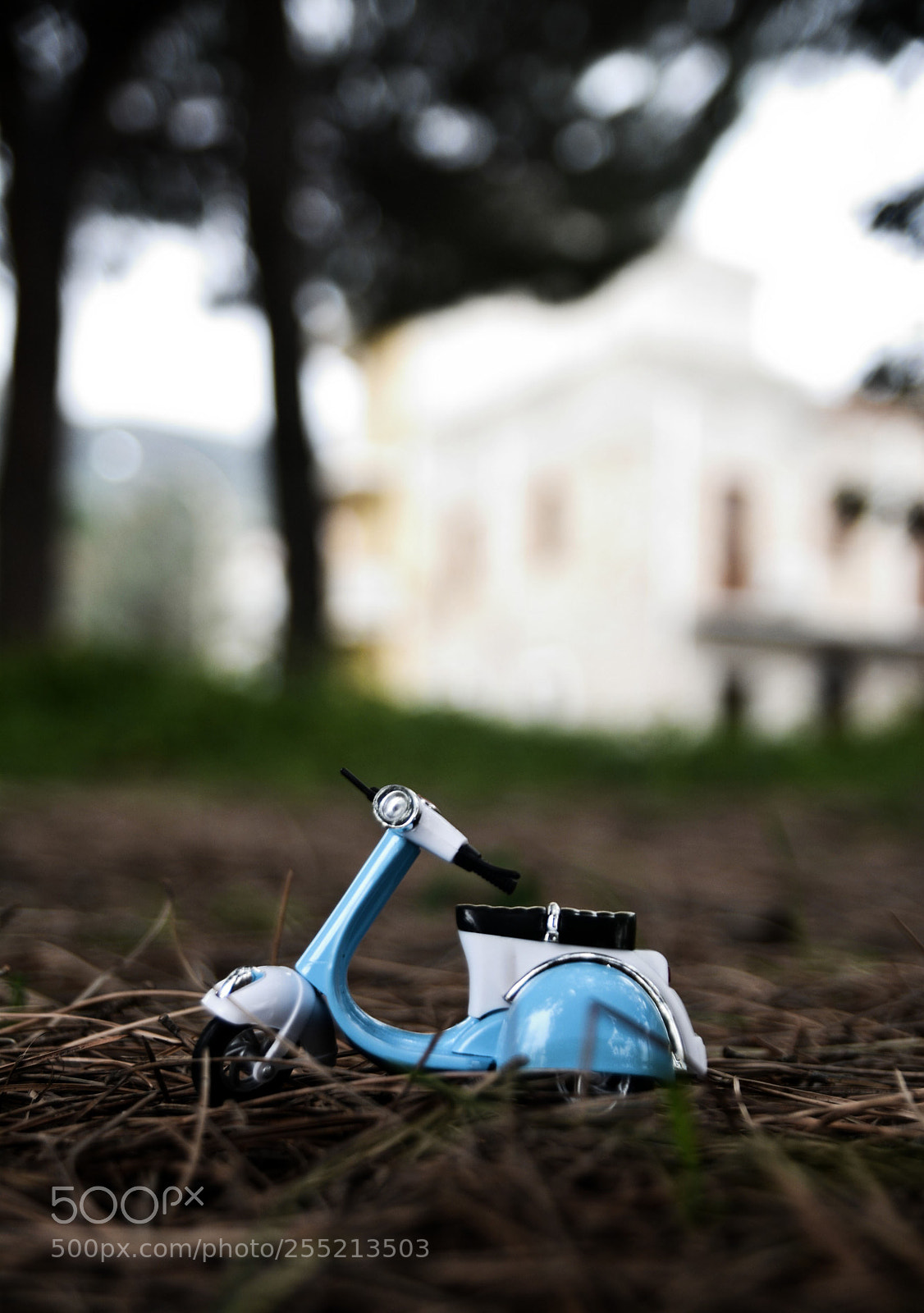 Nikon D7100 sample photo. Untitled photography