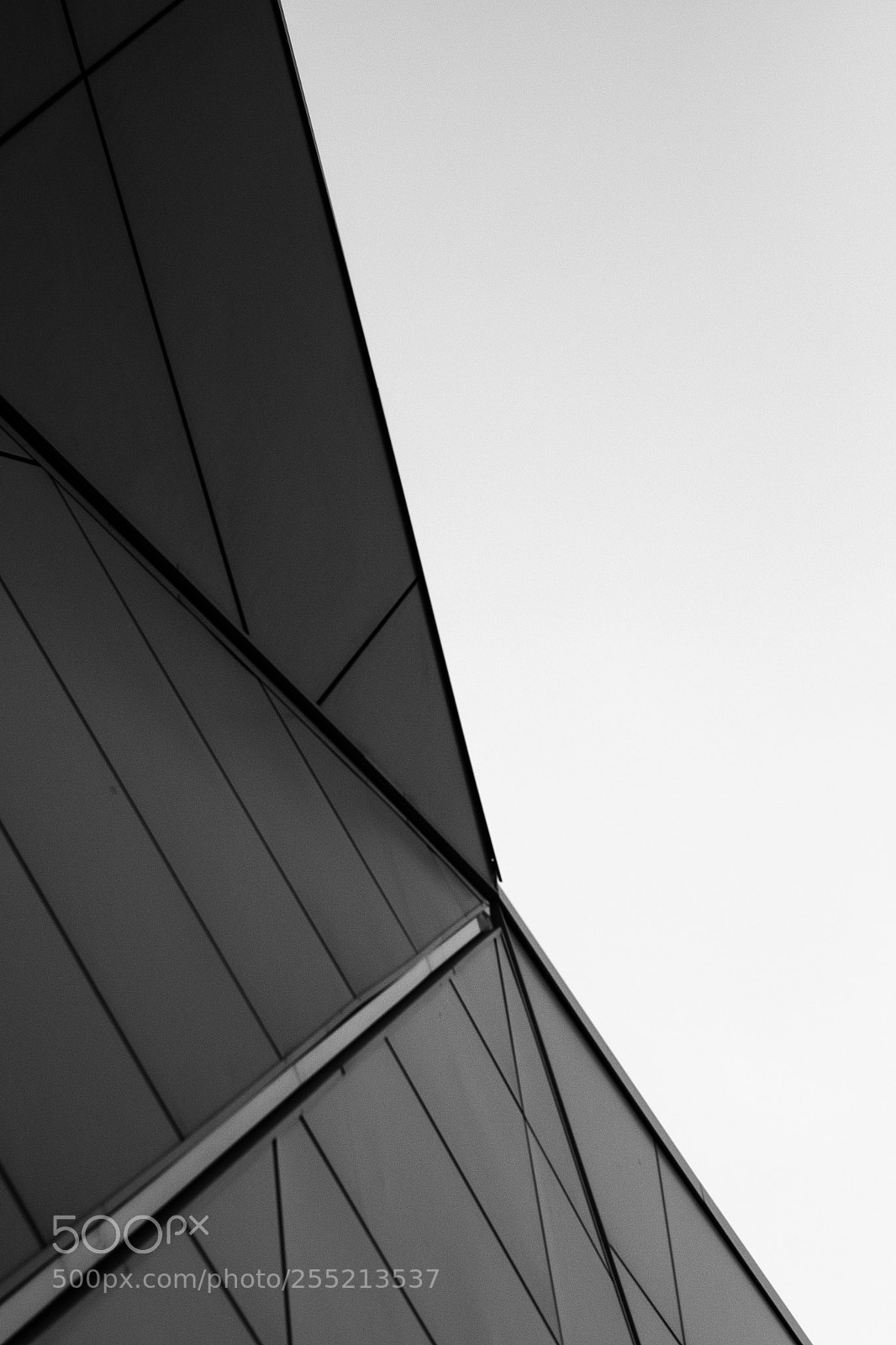 Fujifilm X-T1 sample photo. Untitled photography