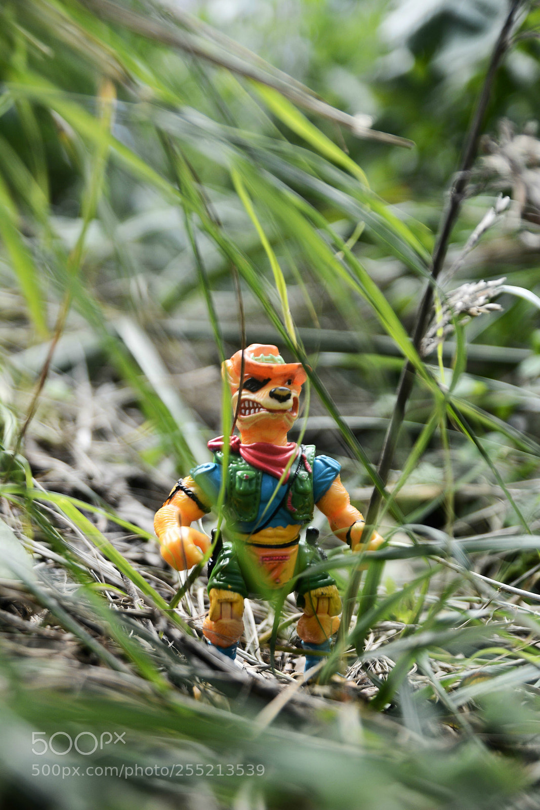 Nikon D7100 sample photo. Untitled photography