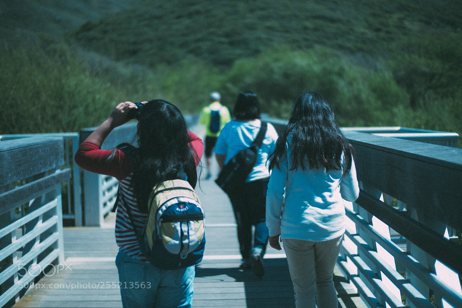 Fujifilm X-E2S sample photo. Nature trail walkway muir photography