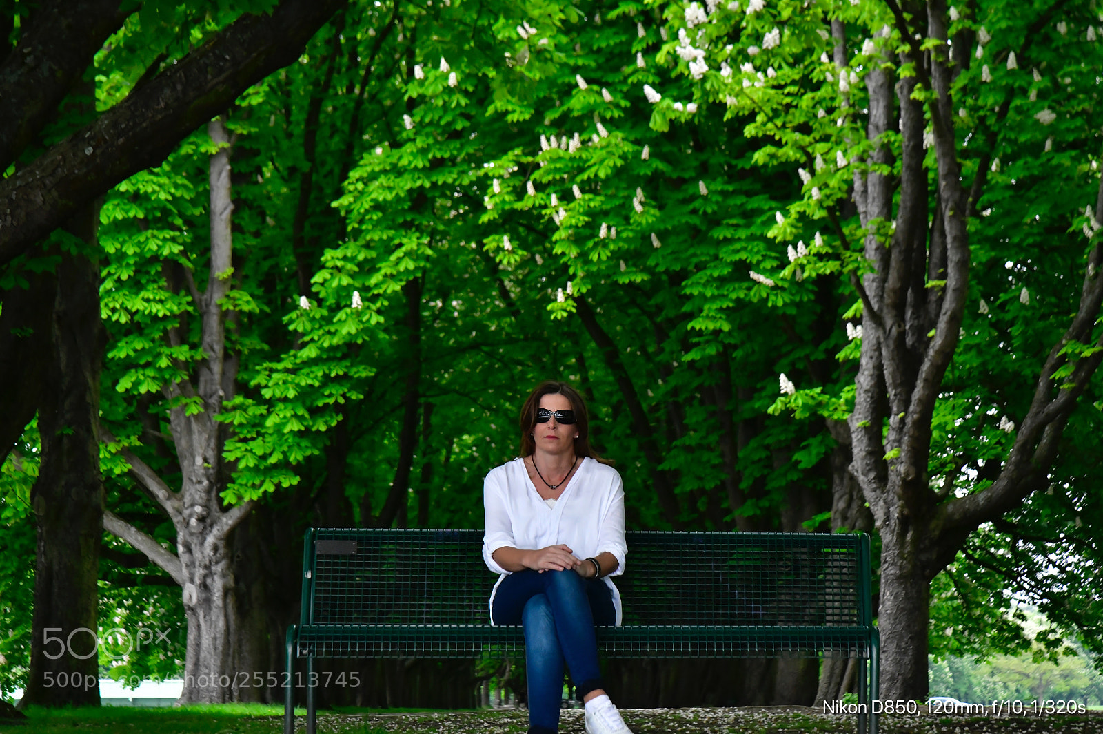 Nikon D850 sample photo. Strong looking  photography